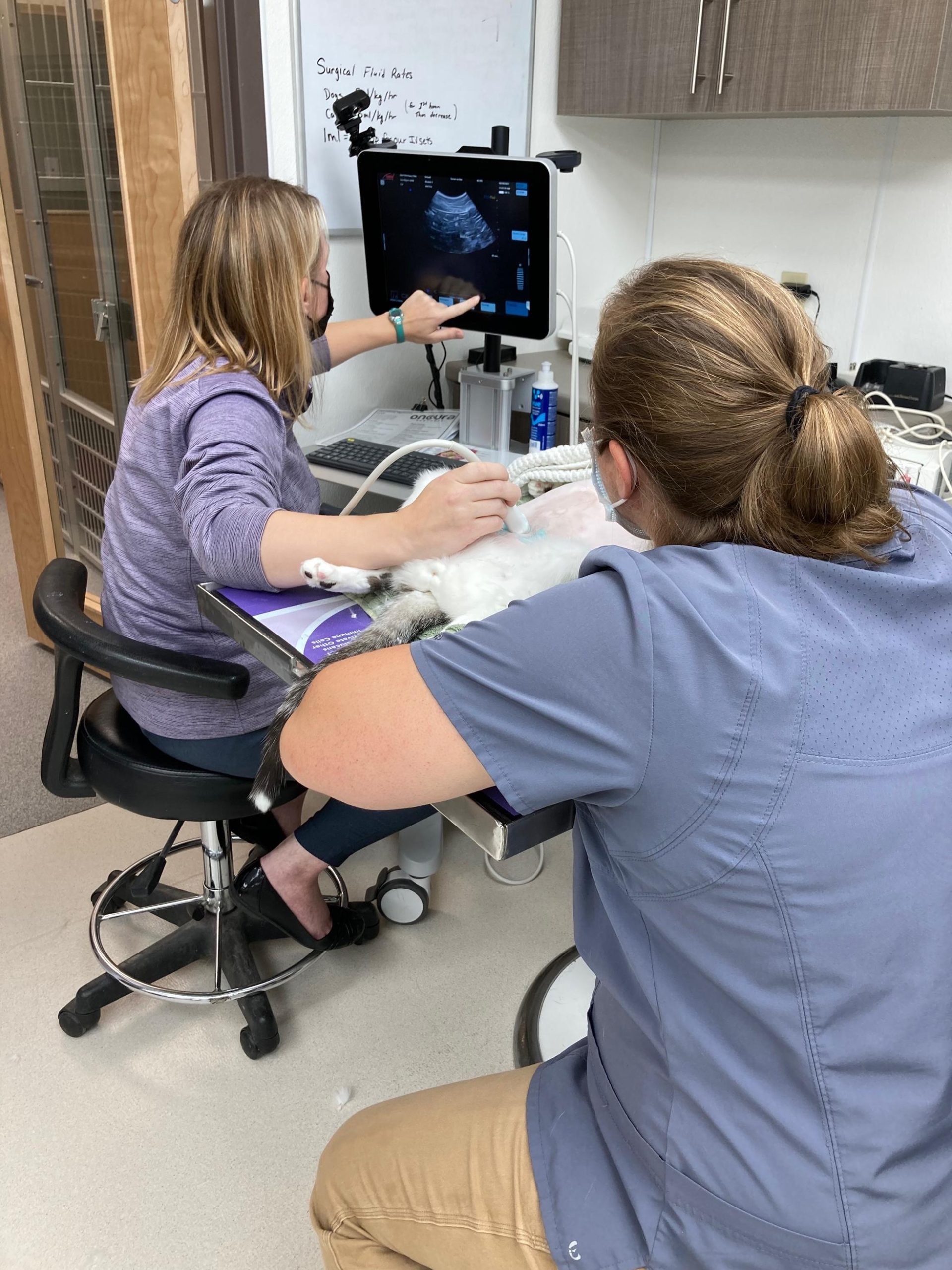 acuppuncture3